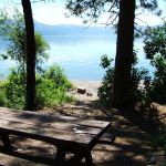 The Most Scenic Camping Spots in the Pacific Northwest for Nature Lovers