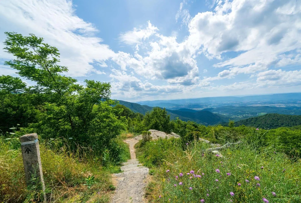 Best Hiking Trails Near Popular Camping Spots Across the U.S.