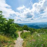Best Hiking Trails Near Popular Camping Spots Across the U.S.