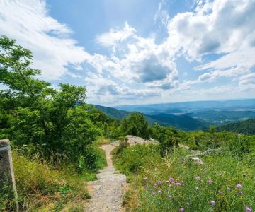 Best Hiking Trails Near Popular Camping Spots Across the U.S.