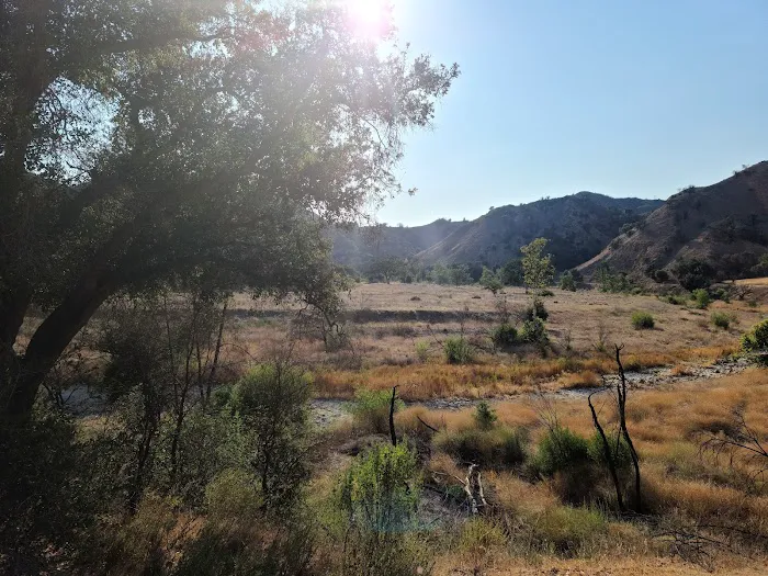 Malibu Creek State Park Campground Picture 2