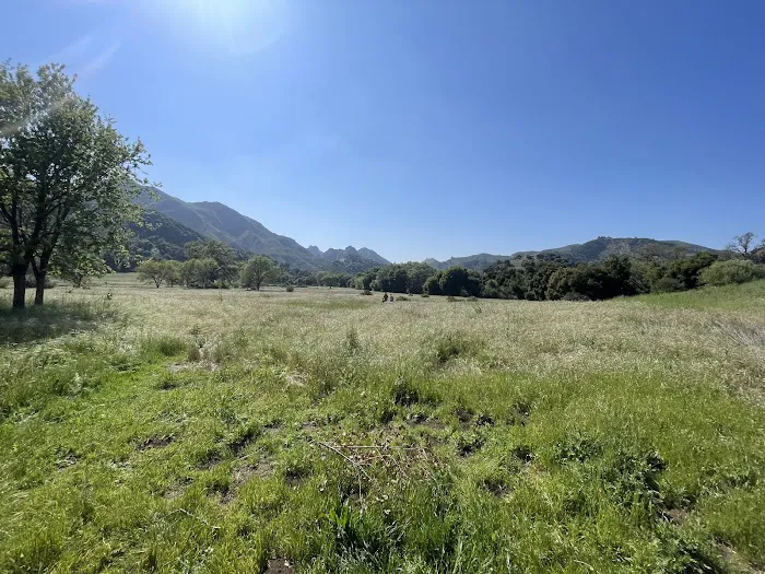 Malibu Creek State Park Campground Picture 5