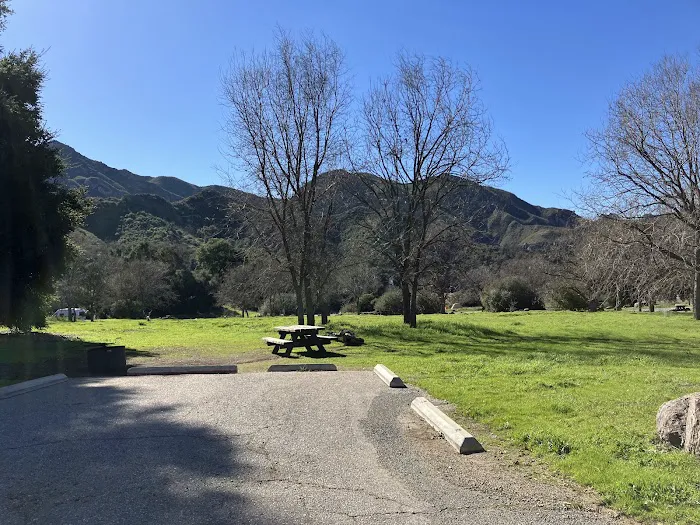 Malibu Creek State Park Campground Picture 8