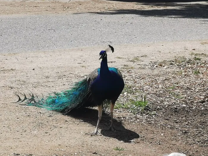 Tapo Canyon Campground Picture 1