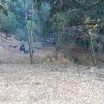 Spring Camp Campground