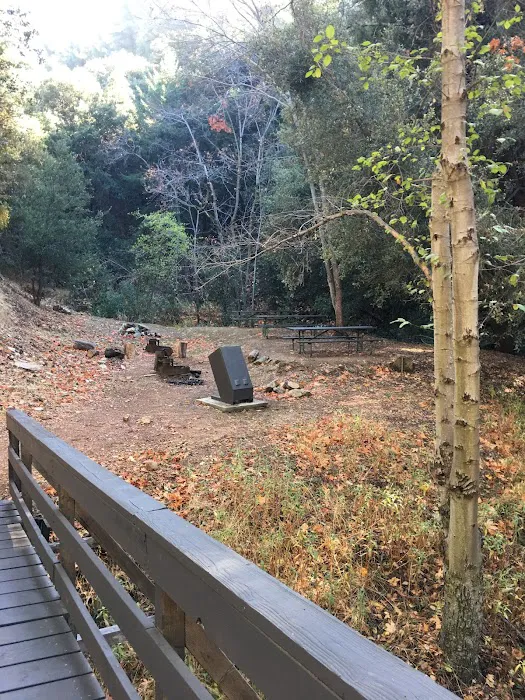 Spring Camp Campground Picture 5