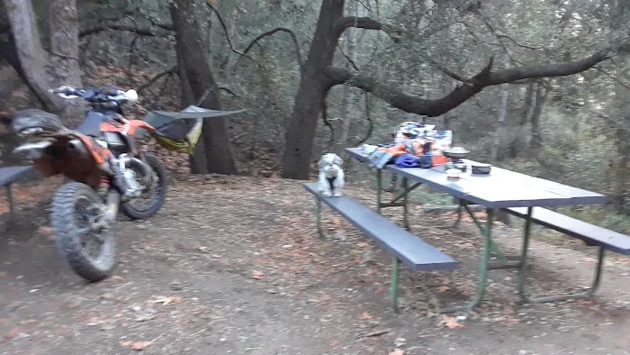 Spring Camp Campground Picture 4