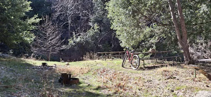 Spring Camp Campground Picture 7