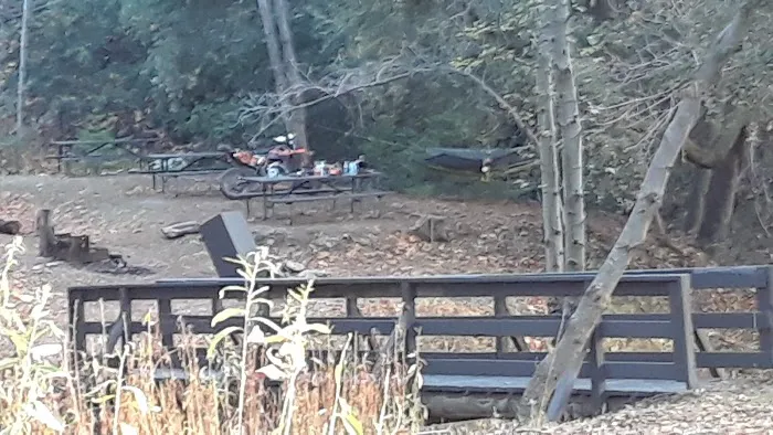 Spring Camp Campground Picture 8