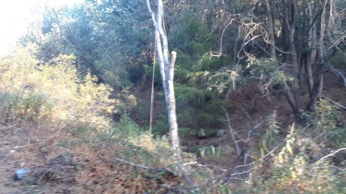Spring Camp Campground Picture 10