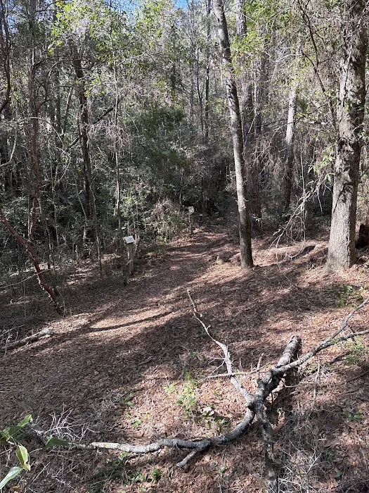 Clear Creek Campground Picture 10
