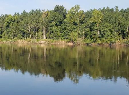 River Farms LLC