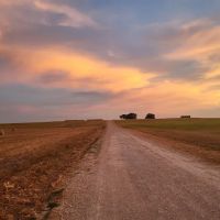 Downtown Texas RV Park ico