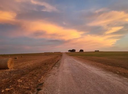 Downtown Texas RV Park