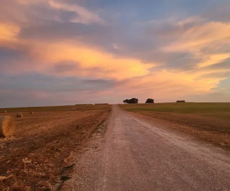 Downtown Texas RV Park