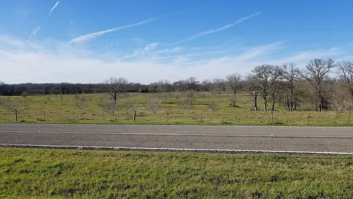Downtown Texas RV Park Picture 7