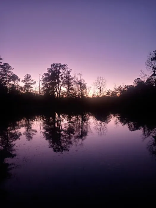 Bluff Springs Recreation Area Picture 3
