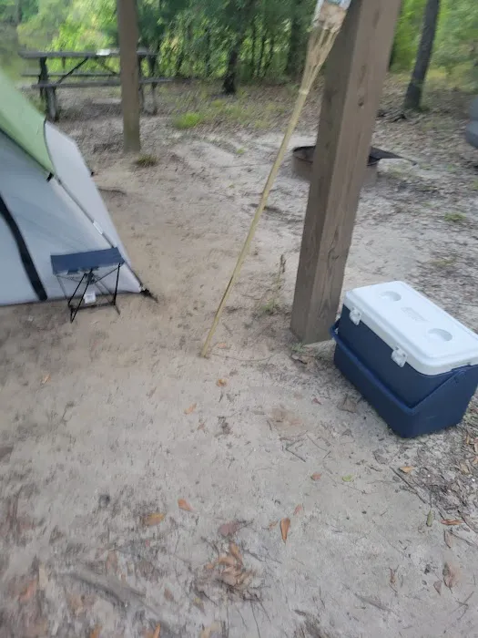 Bluff Springs Recreation Area Picture 8