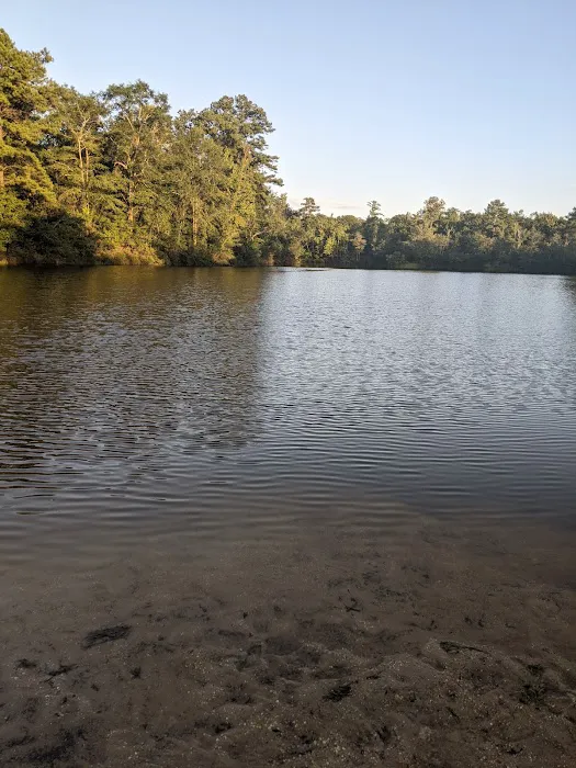 Bluff Springs Recreation Area Picture 10