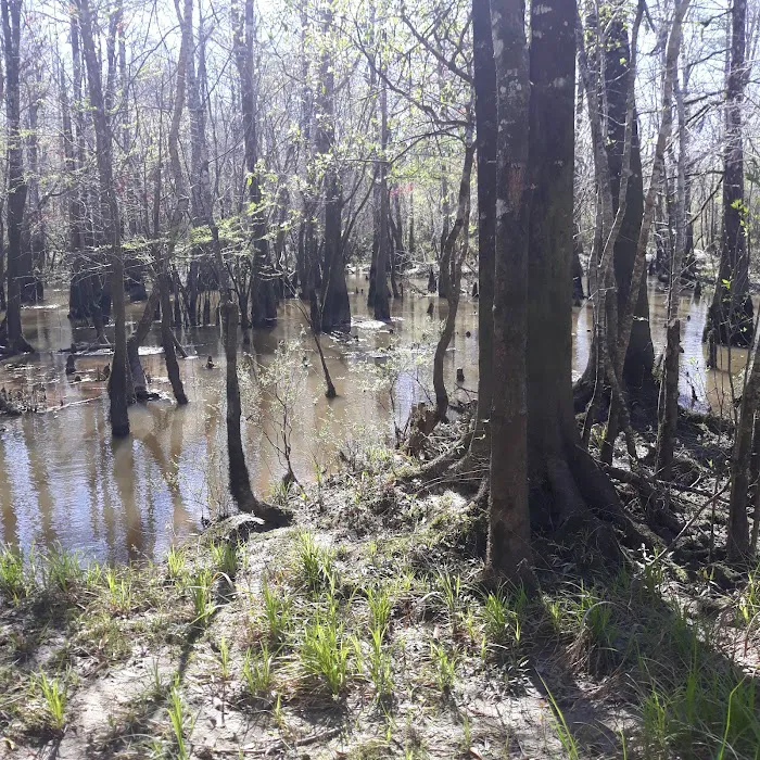 Webb Landing Picture 4