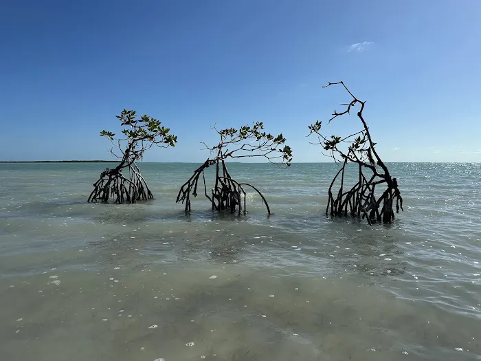 North Nest Key Picture 5