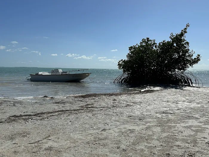 North Nest Key Picture 4
