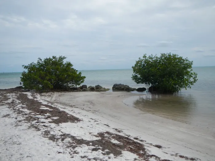 Curry Hammock State Park Campground Picture 3