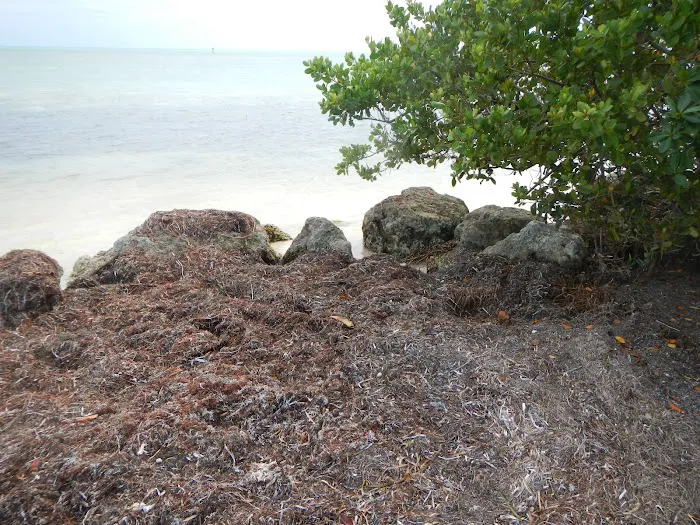 Curry Hammock State Park Campground Picture 6