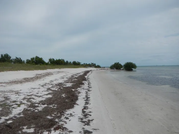 Curry Hammock State Park Campground Picture 10