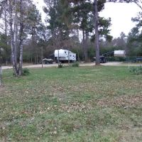 Palmetto RV Park and Campground ico