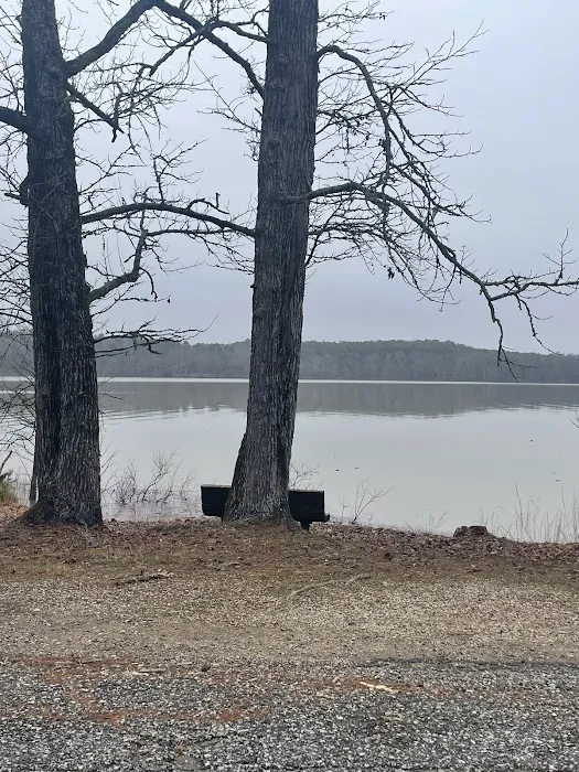 Twin creeks recreation area campground Picture 5
