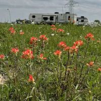 John Wayne's RV Park ico