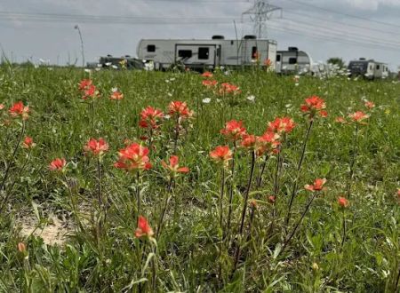John Wayne's RV Park