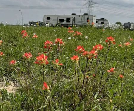 John Wayne's RV Park