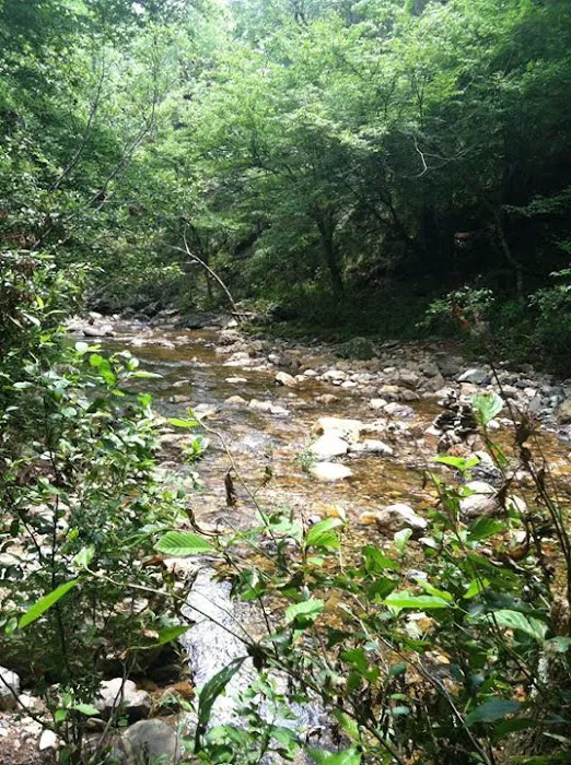 Hickory Nut Mountain Campground Picture 7