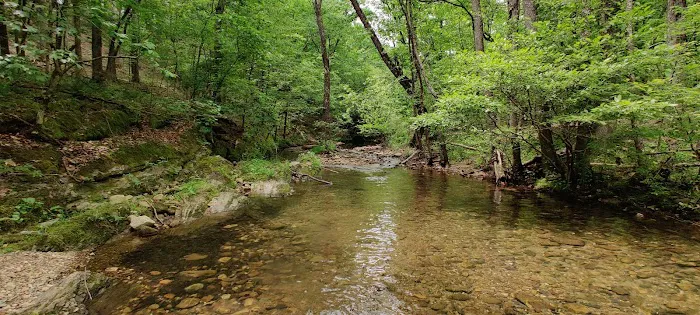 Hickory Nut Mountain Campground Picture 10