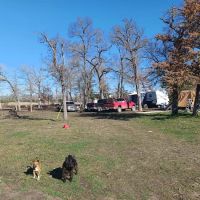 Bloomfield RV ico