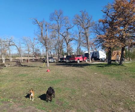 Bloomfield RV