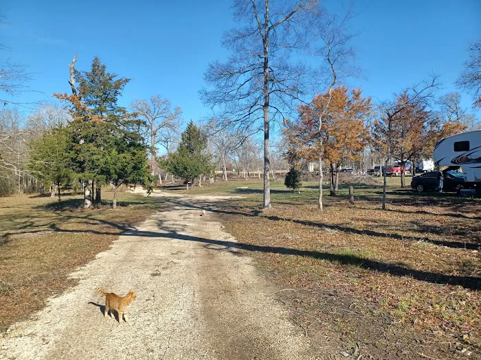 Bloomfield RV Picture 2