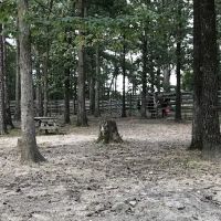 Bar Fifty Guest Ranch Pavilion ico