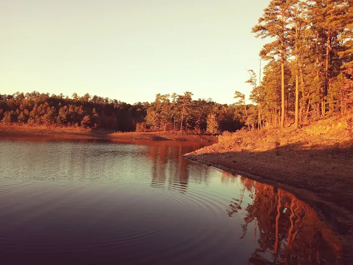 Iron Mountain COE Picture 6