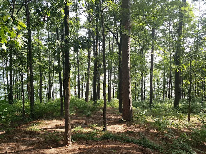 Iron Mountain COE Picture 4