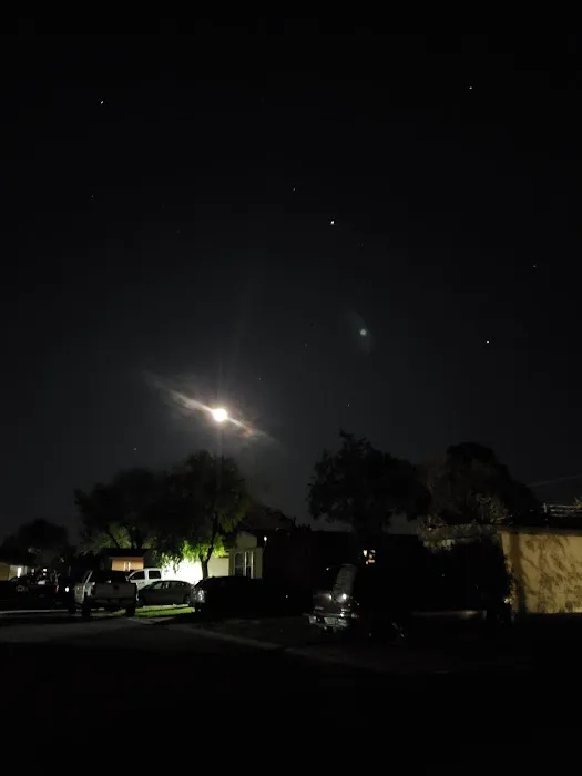 Oak Forest Mobile Home Park Picture 4