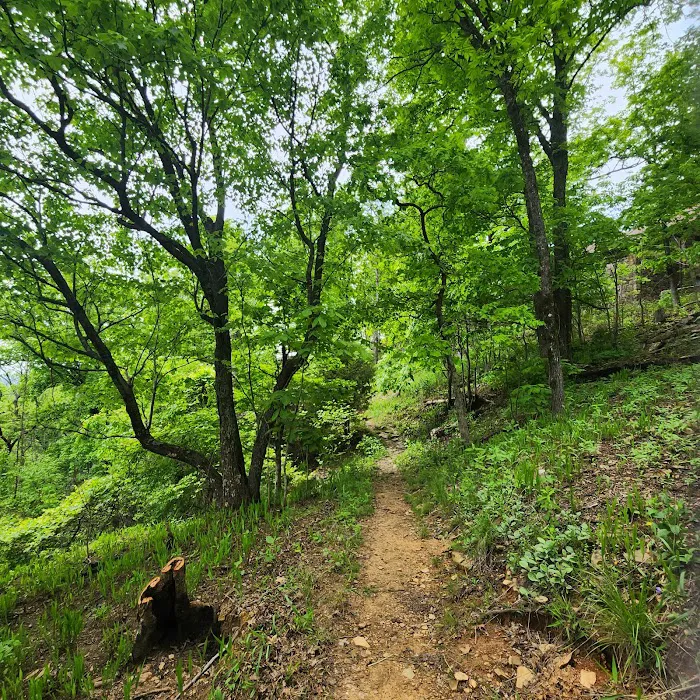 White Rock Mountain Campground Picture 6