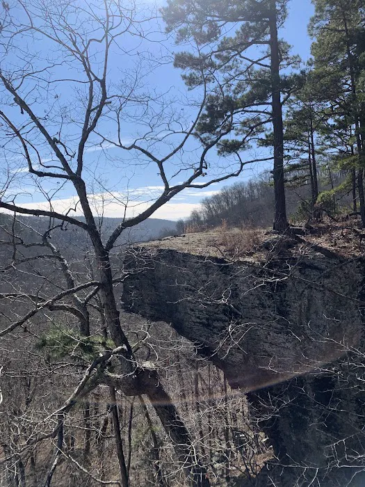 Robbins Ridge Picture 1