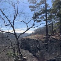 Robbins Ridge ico