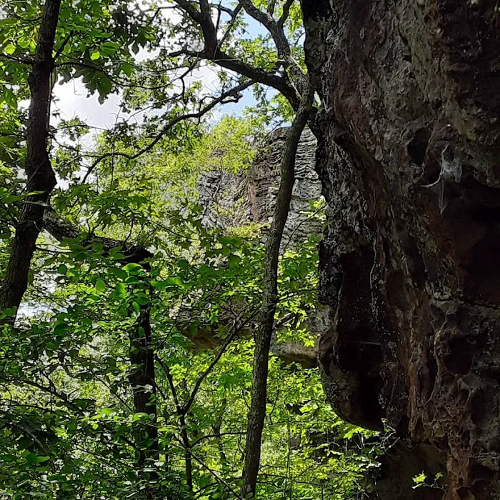 Robbins Ridge Picture 6