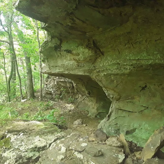 Robbins Ridge Picture 10