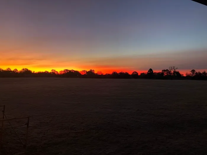 Pecan Place RV Park Picture 6