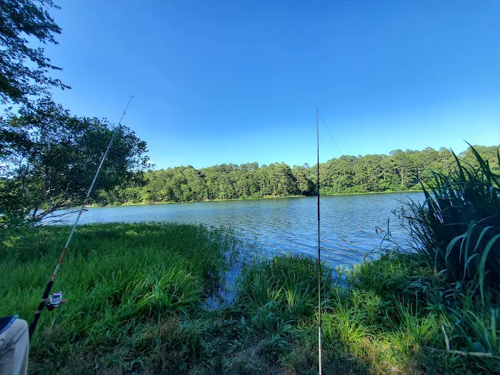 Lake Wedington Campground Picture 1